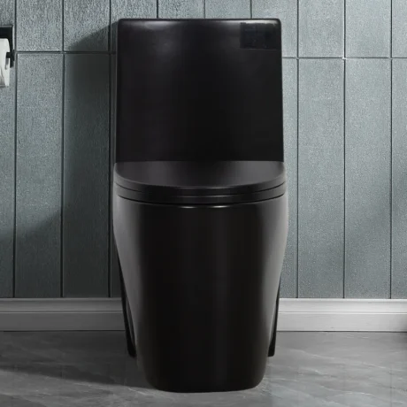 AB-23T01-MB 1.1/1.6 GPF Dual-Flush Elongated One-Piece Toilet with 17.13 in. Comfort Seat Height, Ceramic Glazed Surface(Soft Close Seat Included) -  Matte Black